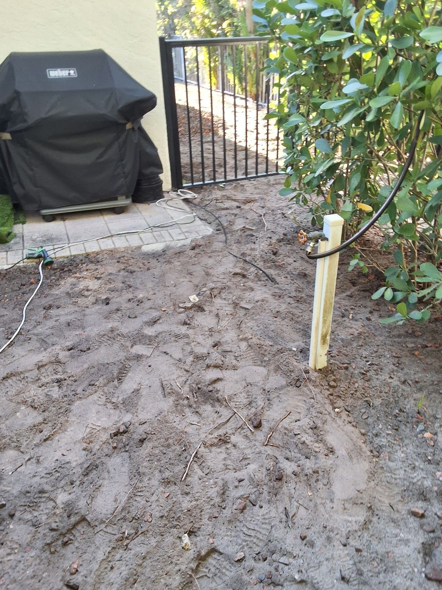 Muddy backyard path beside a black grill, gate, and leafy bushes near a post with a hose nozzle
