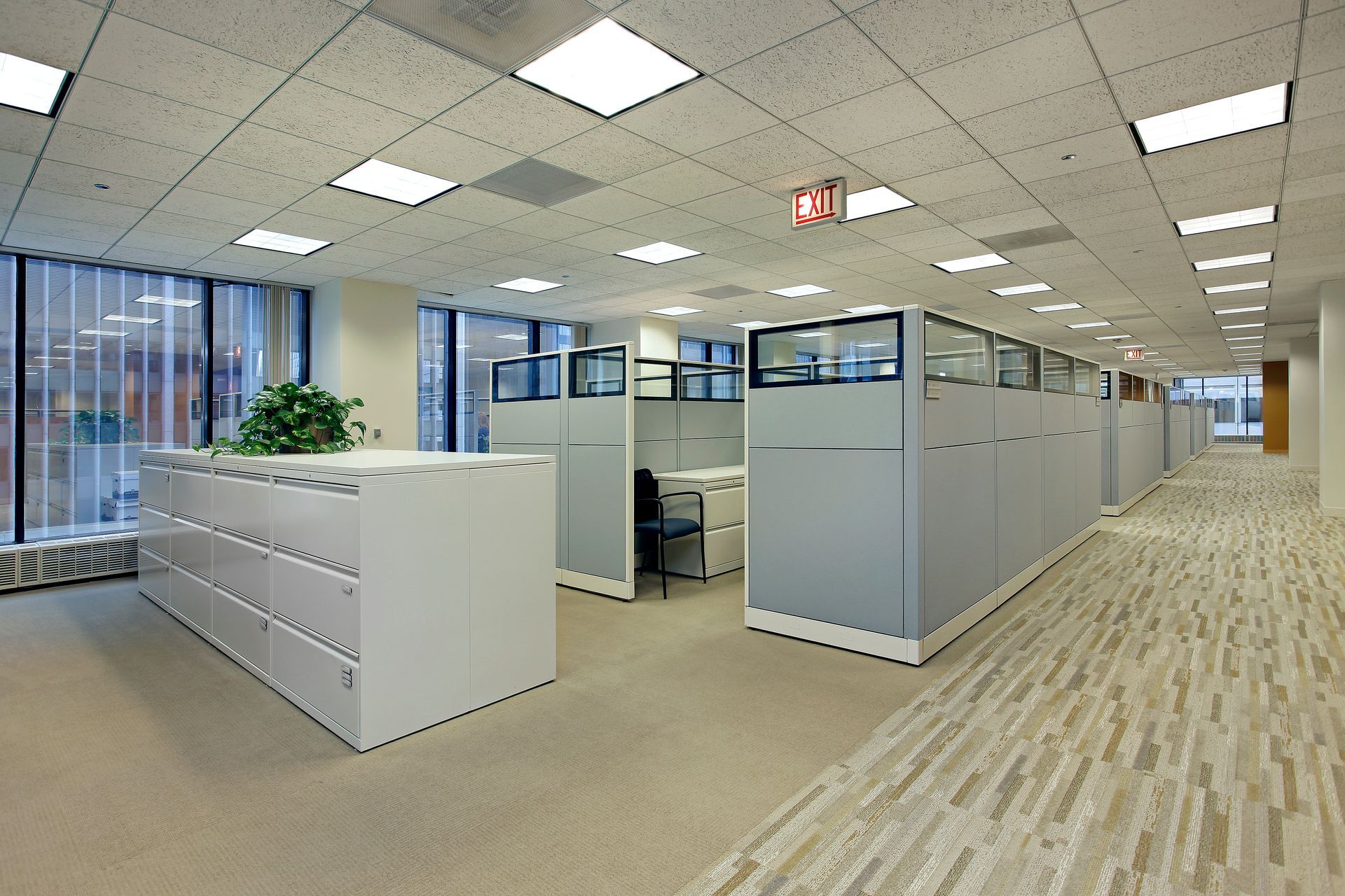 Empty modern office with cubicles, carpeted floor, fluorescent ceiling lights, and a potted plant near the entrance.