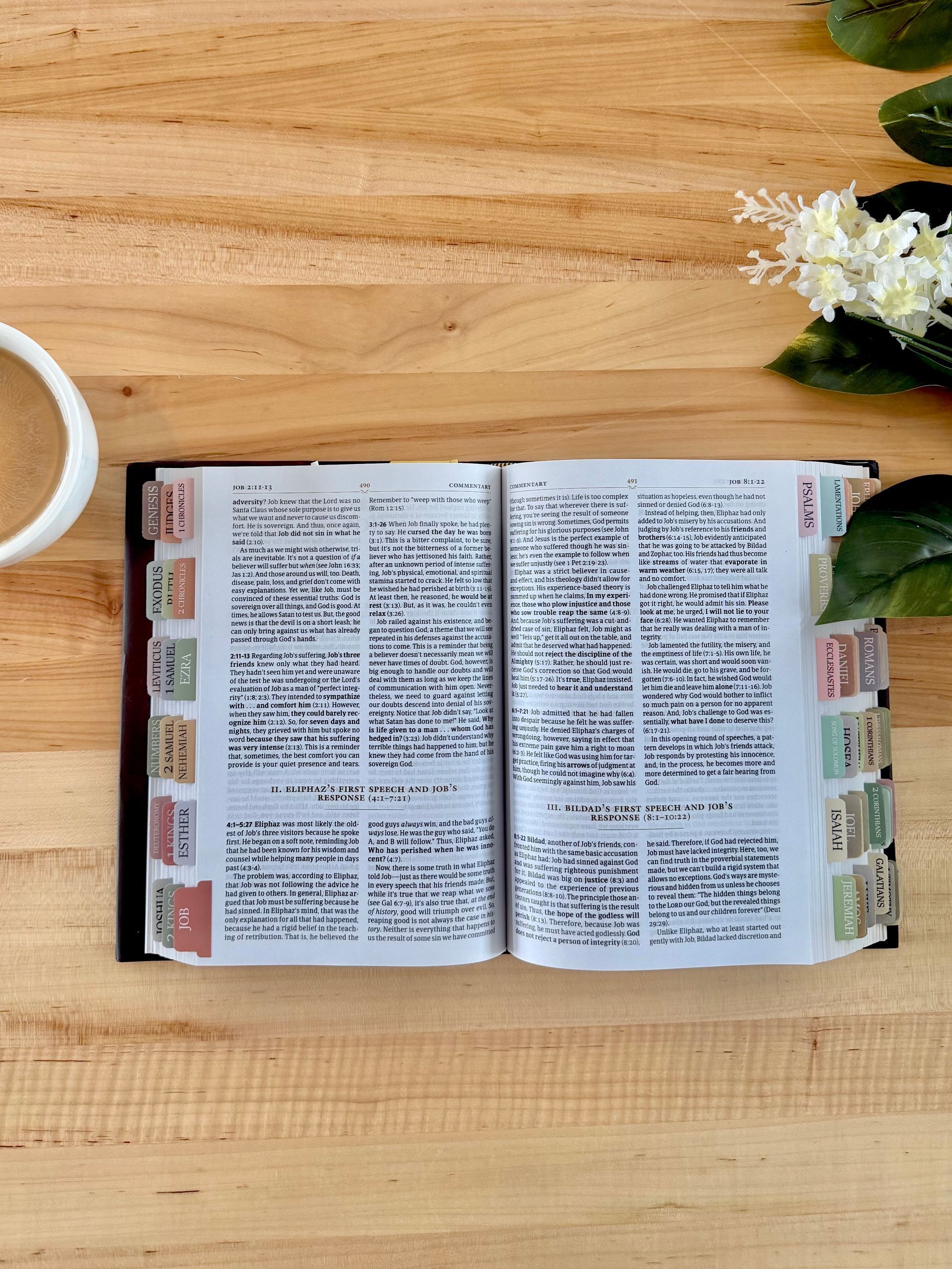 Transparent Bible Study Tabs
