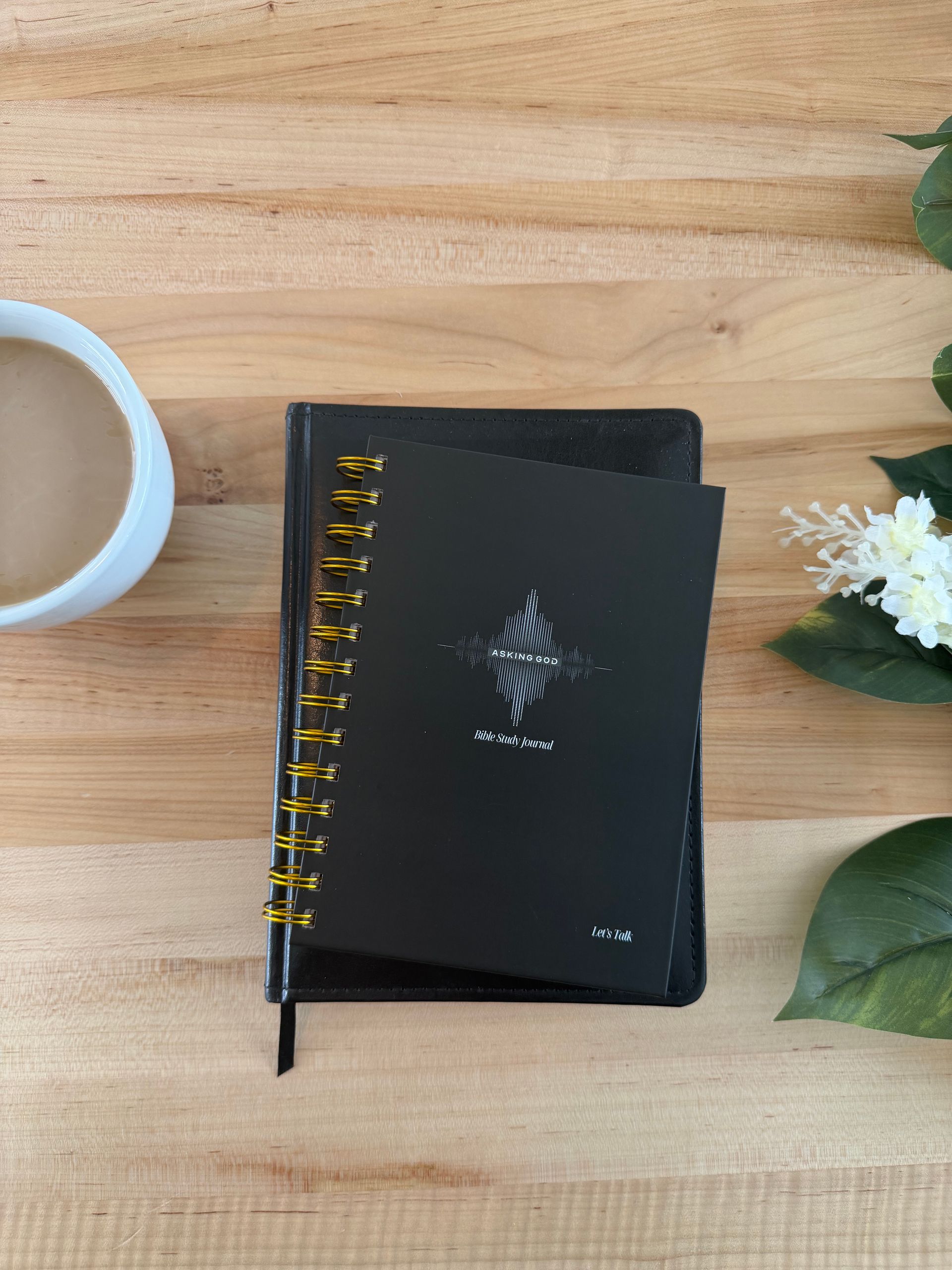 Asking God: A Guided Devotional Journal