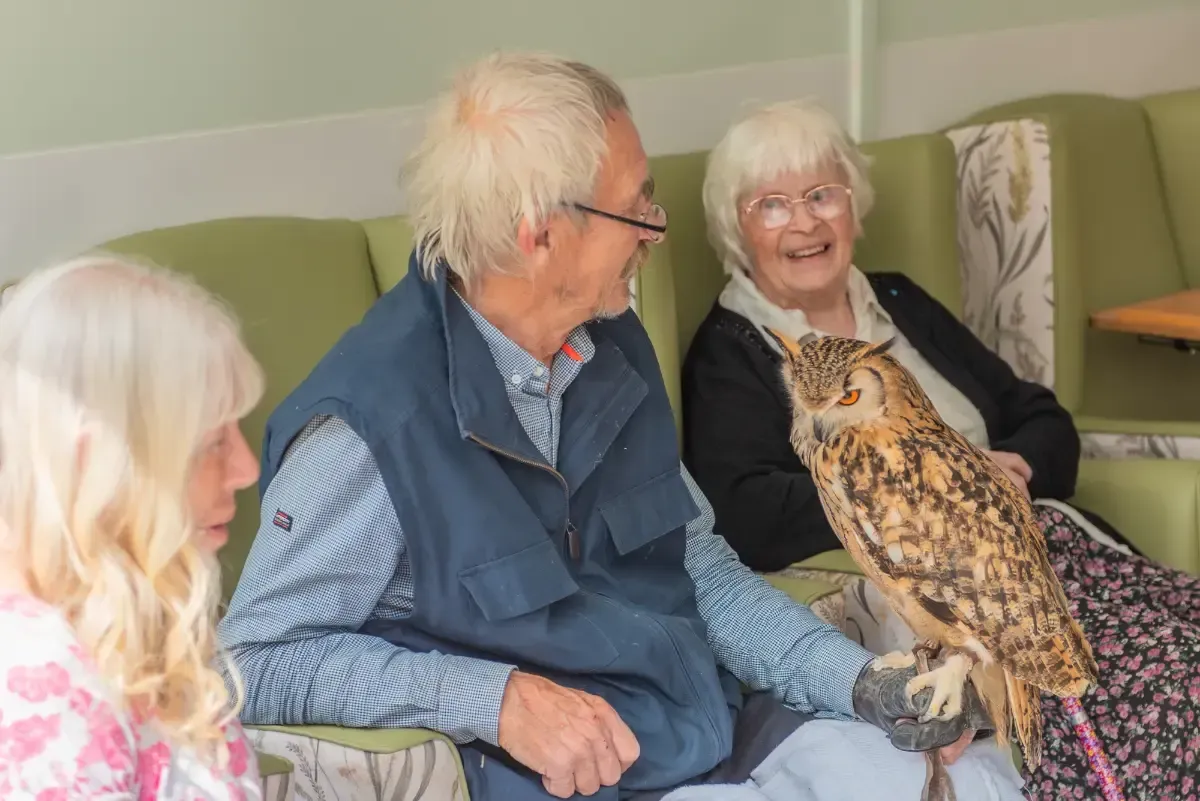 Mostyn Lodge Care Home Keynsham, Bristol | Gallery