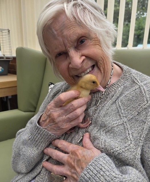 Mostyn Lodge Care Home Keynsham, Bristol | News