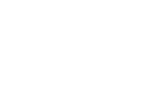 Carey Construction Group Logo