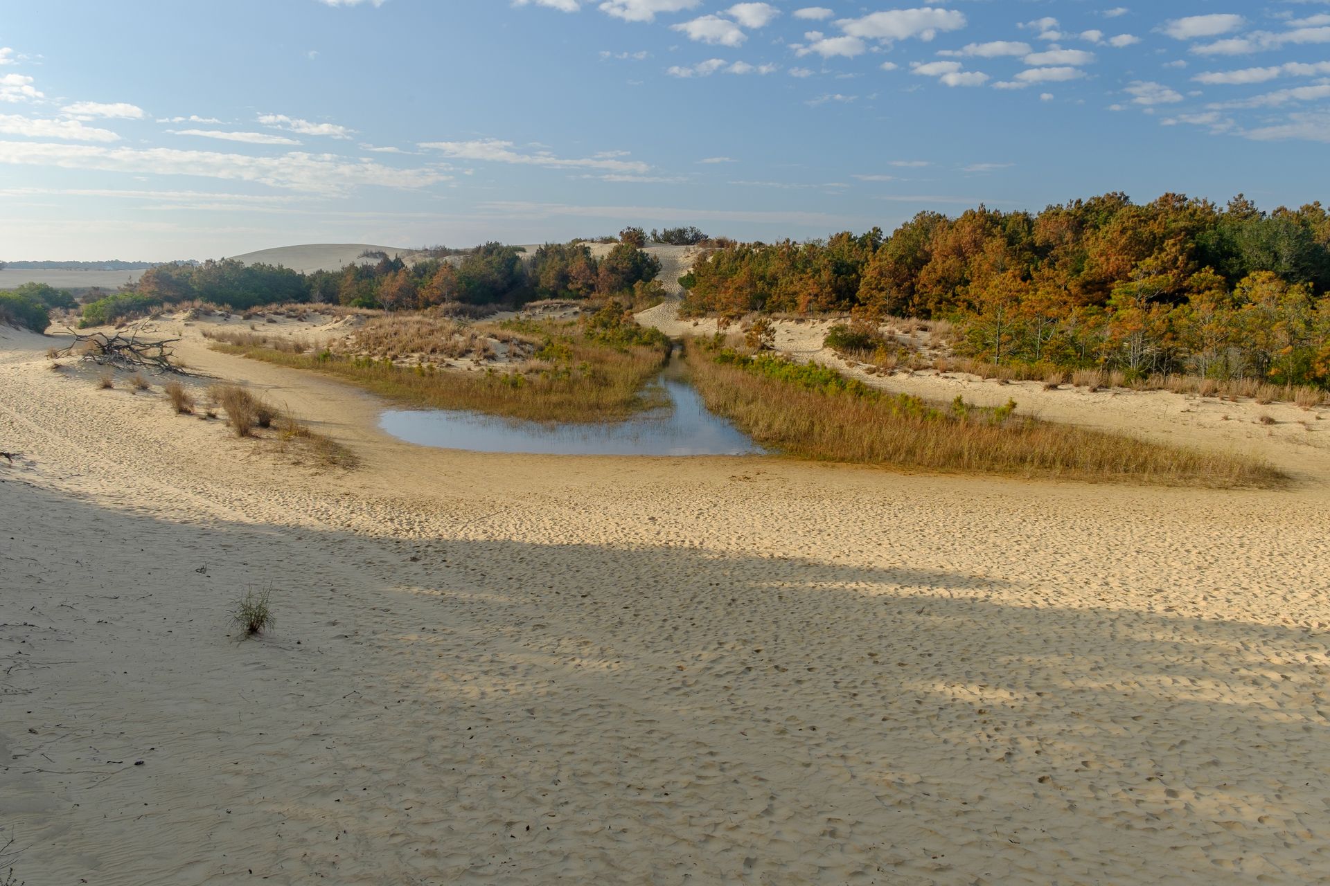 There is a small pond in the middle of the desert.