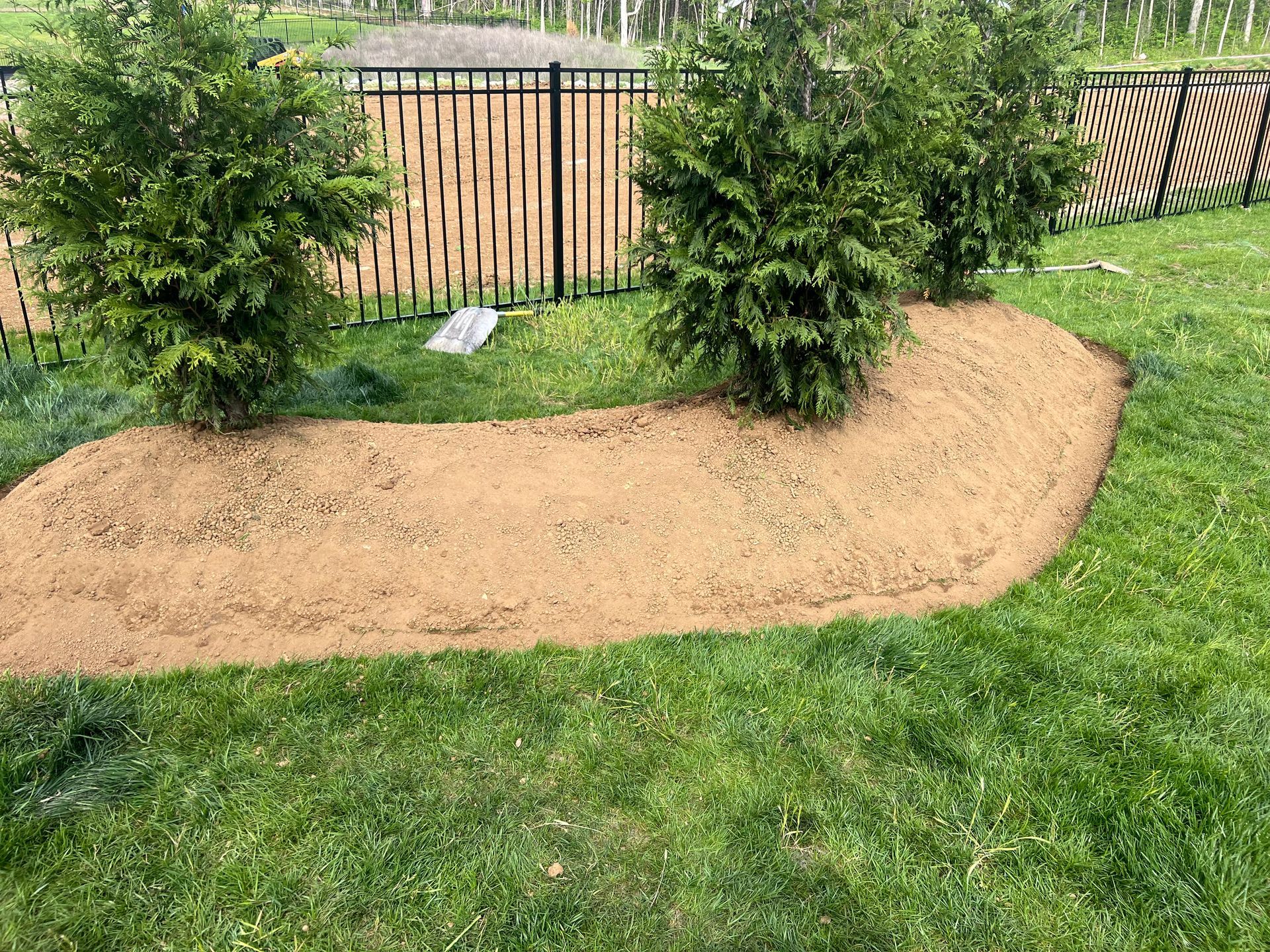A lush green lawn with a fence in the background.