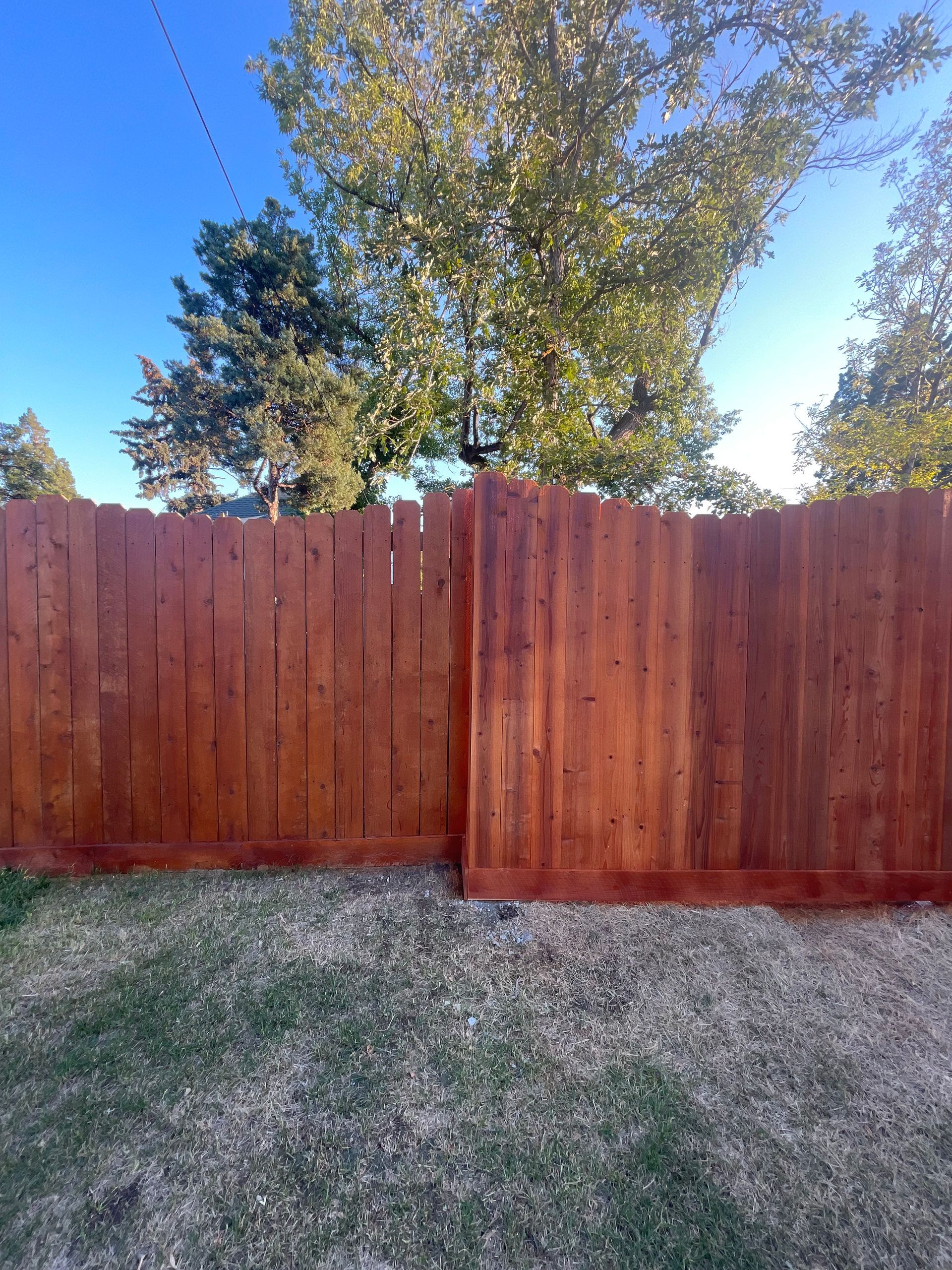 A wooden fence with a scalloped top edge stands in a yard against a background of green trees and a blue sky.