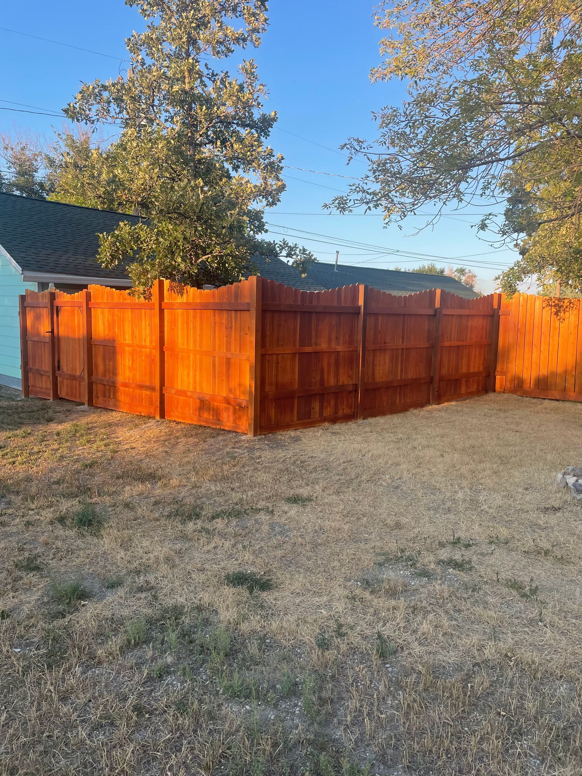 A recently stained wooden fence with a scalloped top edge stands in a yard at sunset.