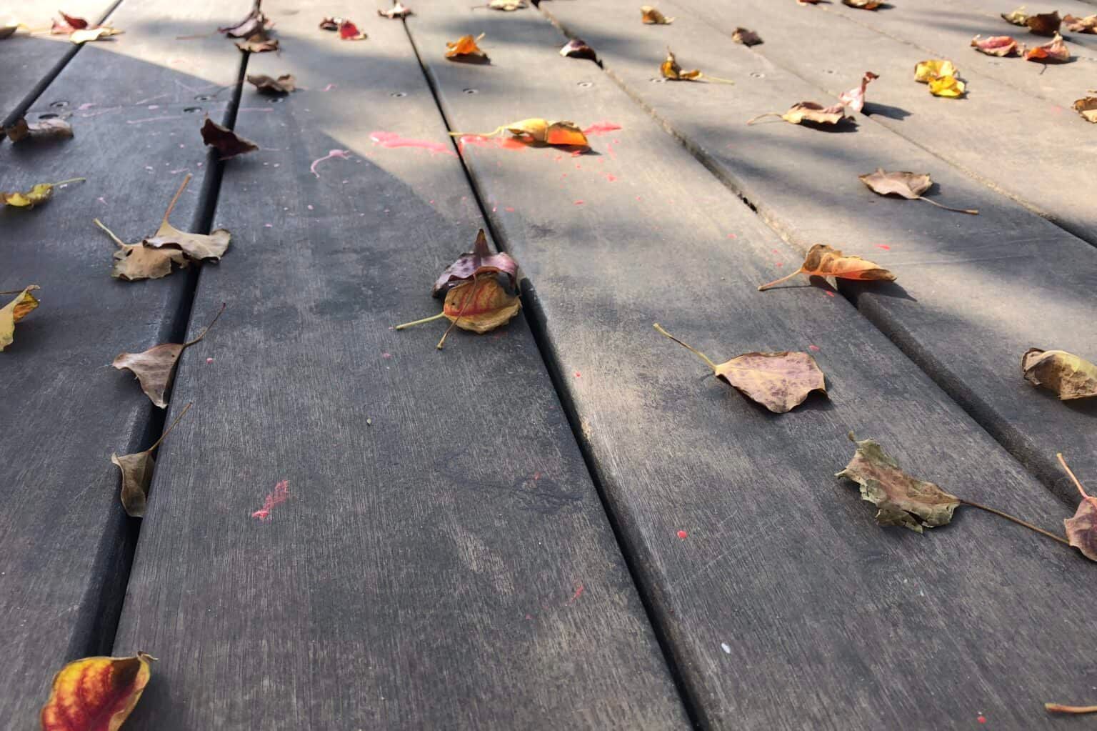 Wooden deck with scattered fall leaves.