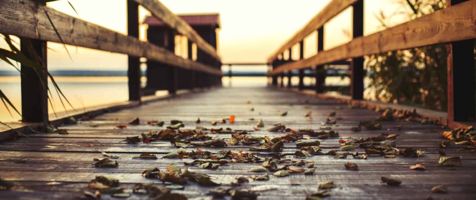 Wooden pier with fallen leaves leads to a small structure over calm water during sunset.
