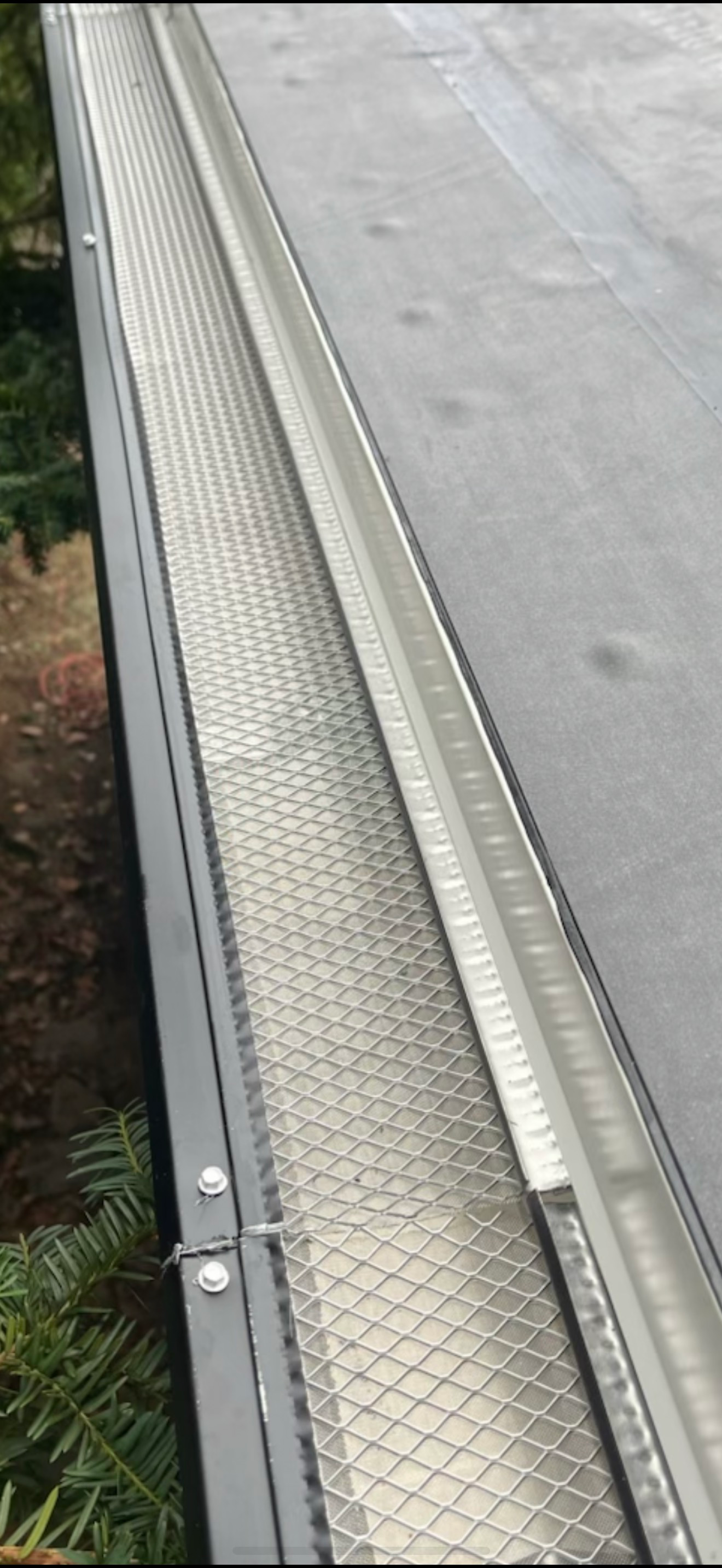 Gutter with metal mesh guard on the edge of a flat roof.