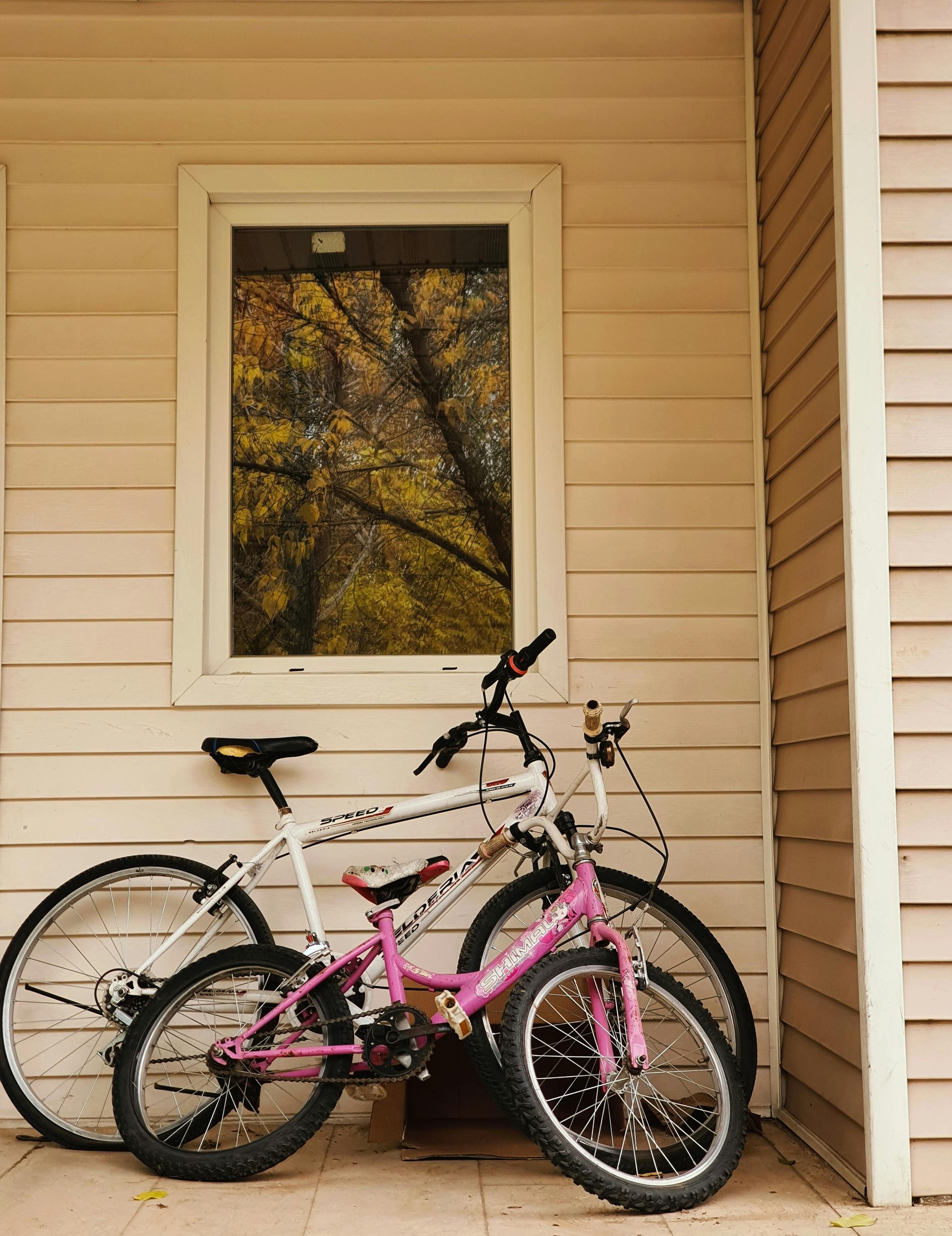 Two bicycles parked near a window reflecting autumn trees on a beige siding wall.