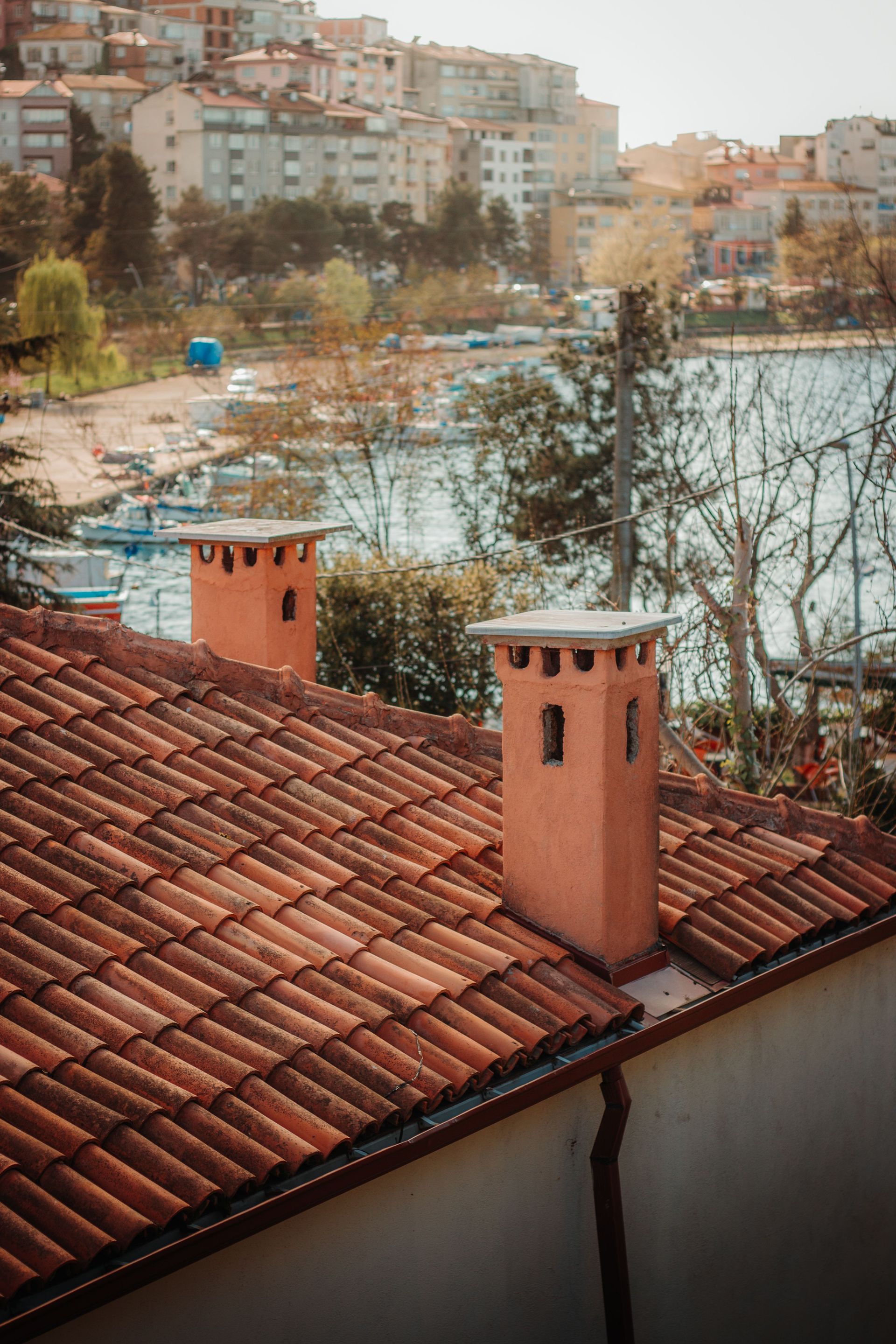 Terracotta rooftops overlooking a lakeside town with leafless trees and buildings in the background