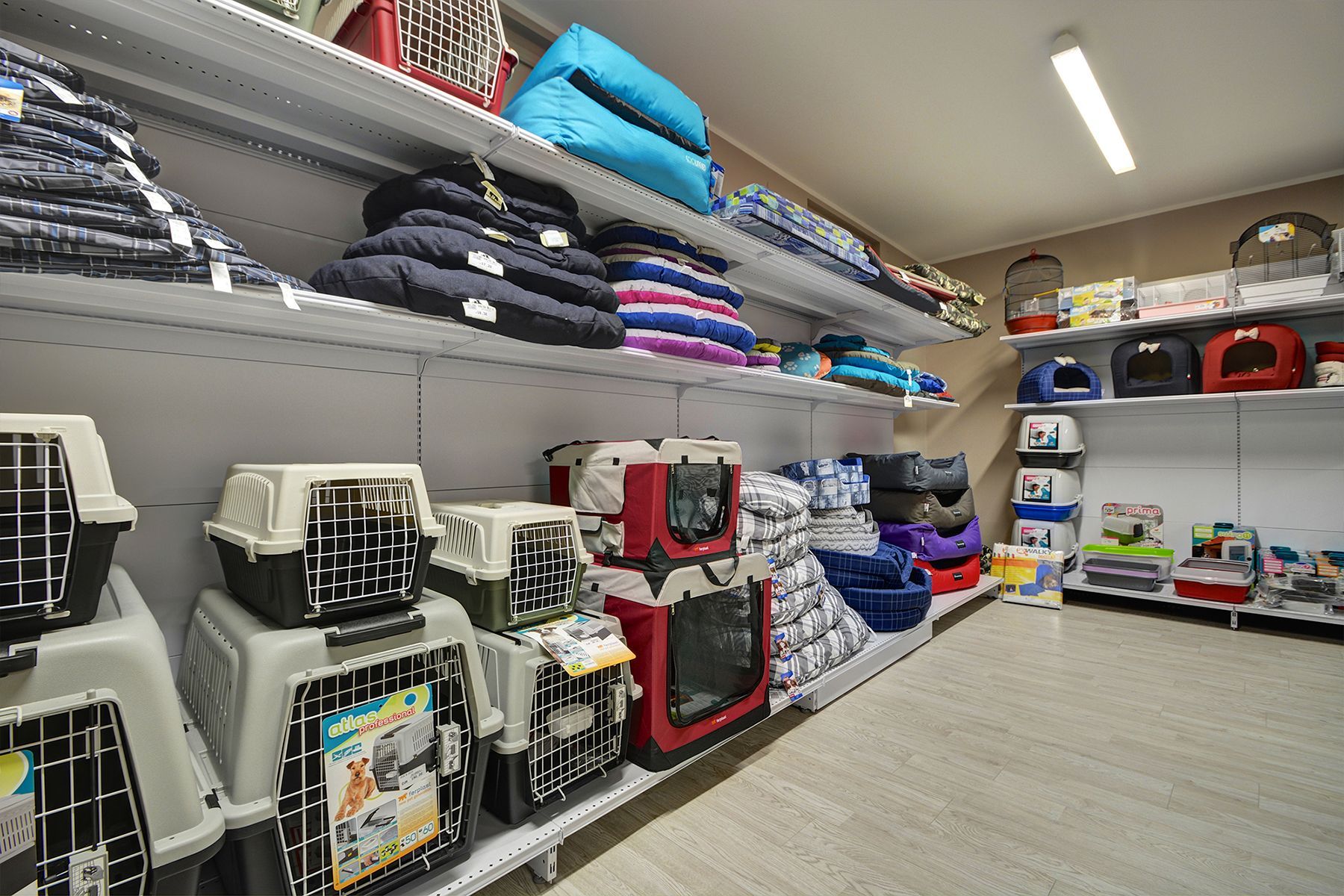 Animalier, Piazza Graf, Torino