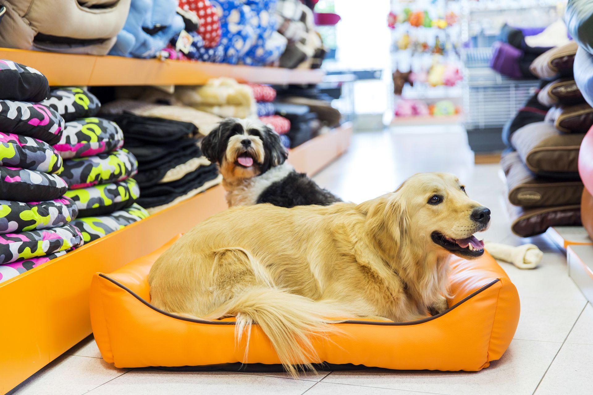 accessori e prodotti per animali