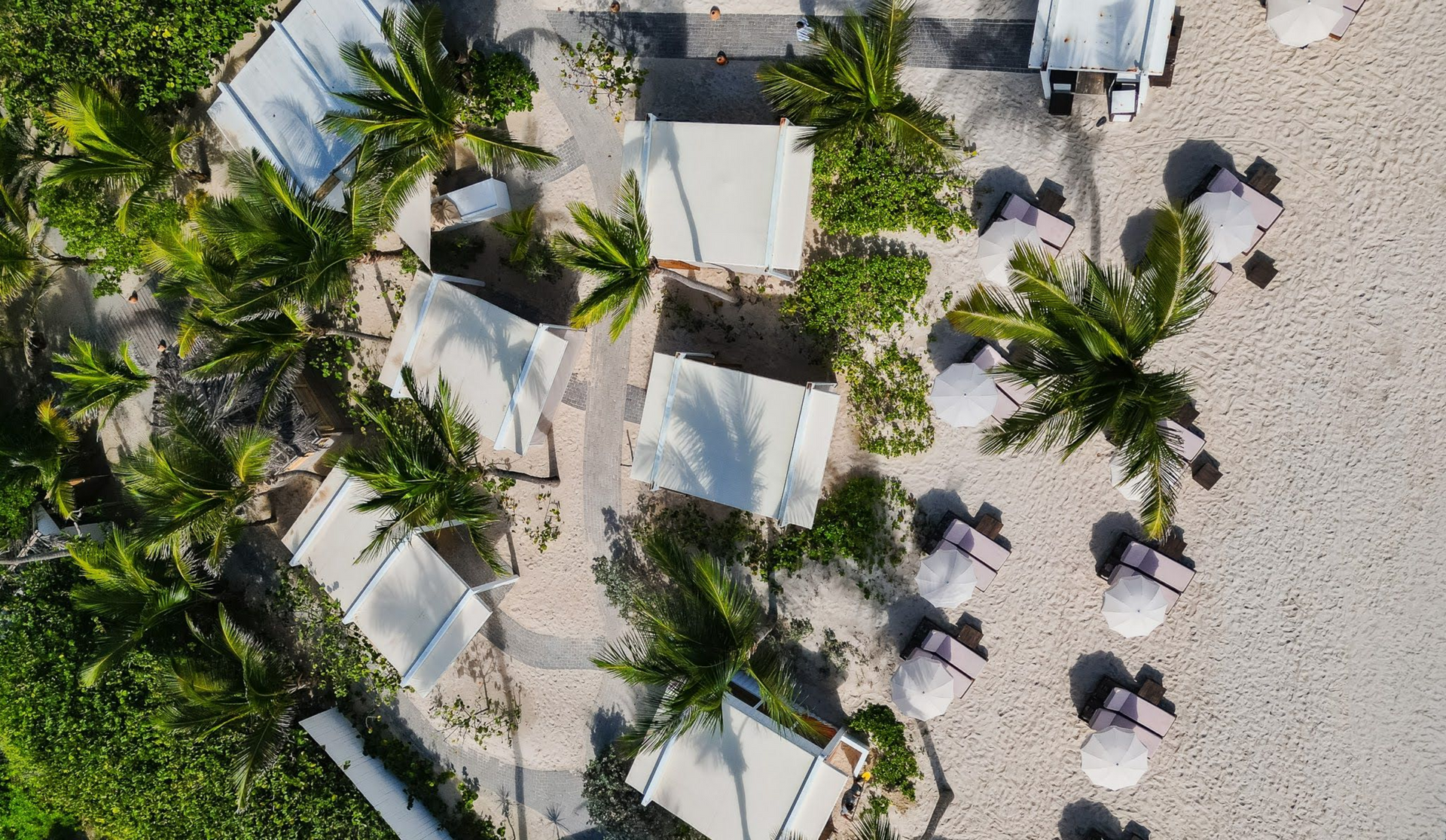 Aerial view of white tents, palm trees, and beach umbrellas on a sandy beach.
