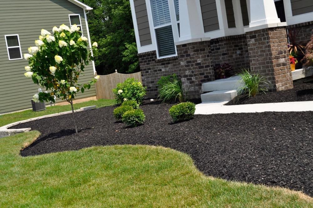 A house with a lush green lawn and black mulch in front of it