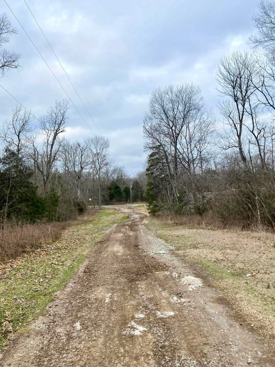 A dirt road going through a forest with trees on both sides.