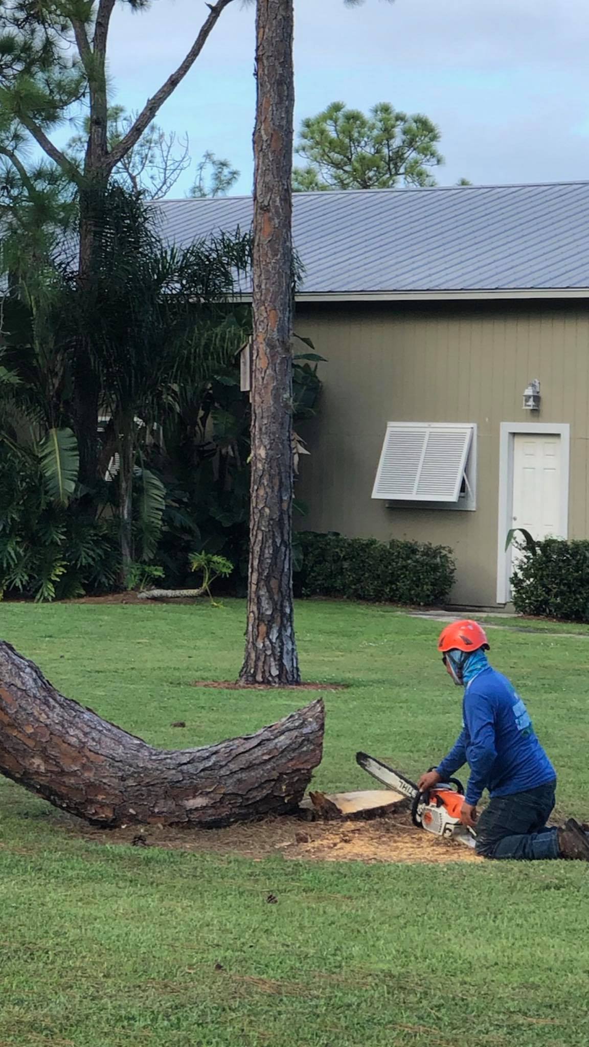 Tree Removal Palm Beach Gardens