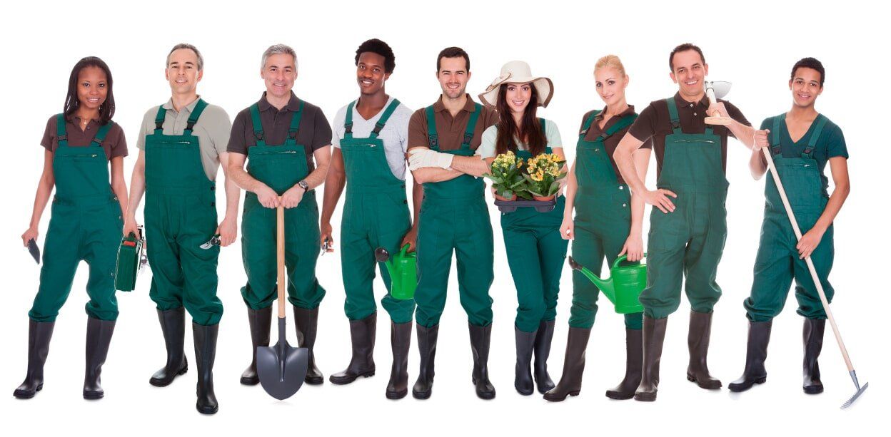 Asergin S.A.S. conserjes