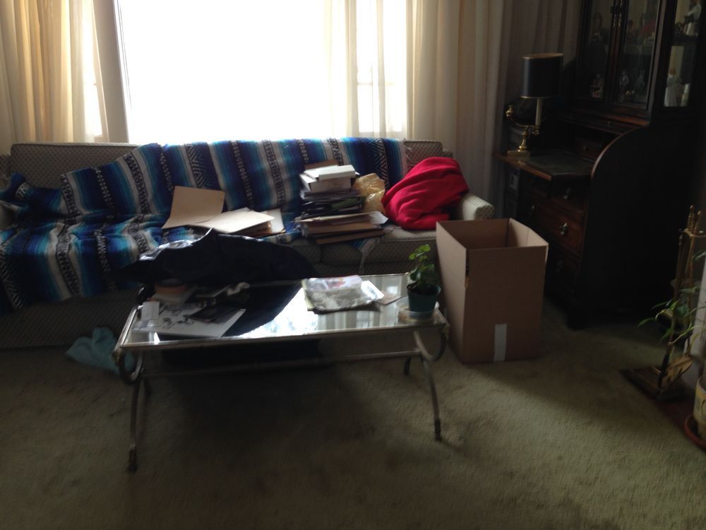 A cluttered living room with a sofa, coffee table, and cardboard box.