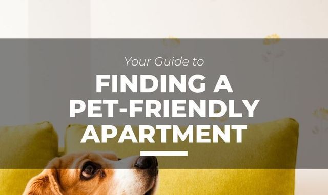 Apartment dog orders guide