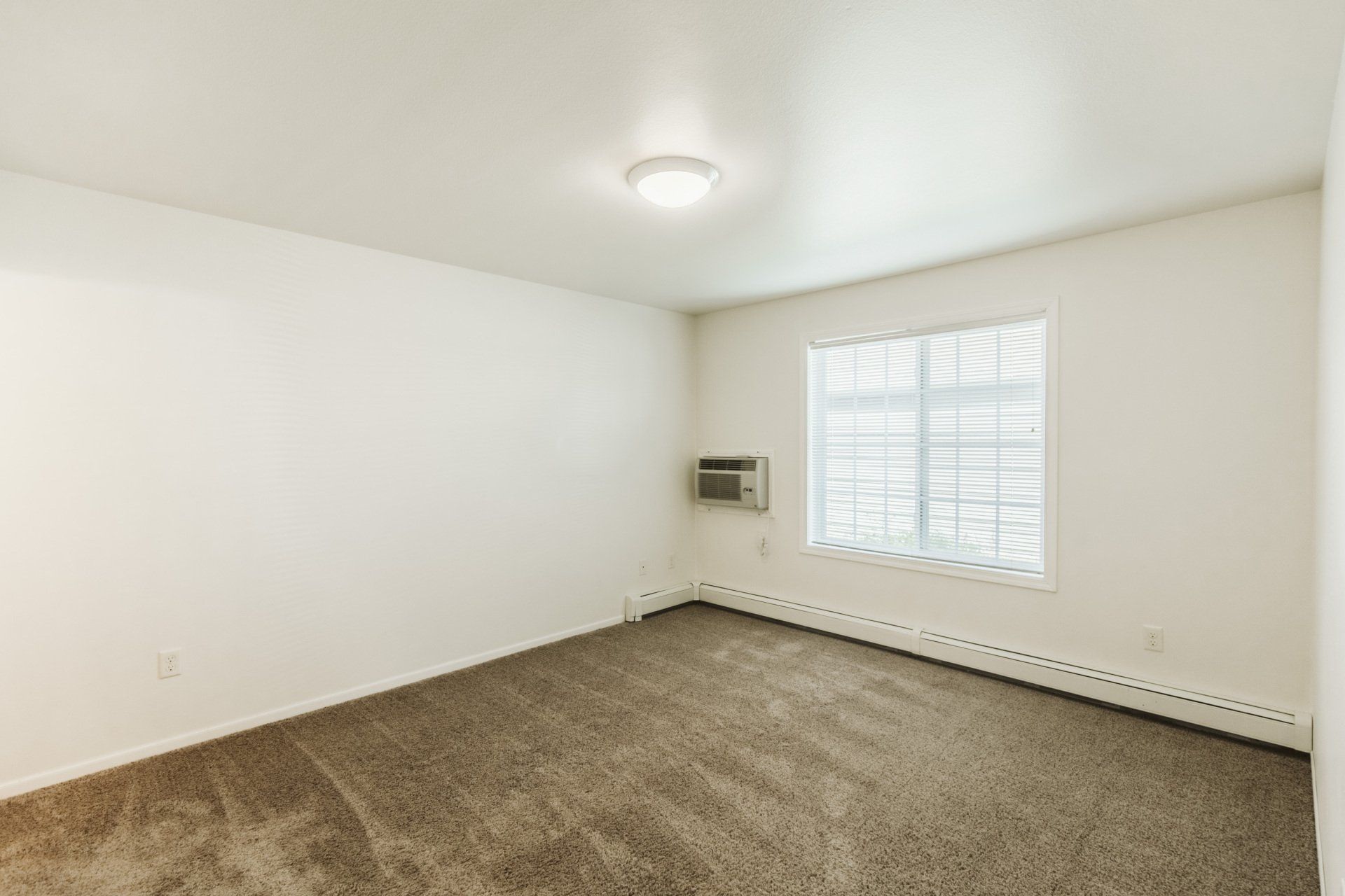 Carpeted bedroom with large window
