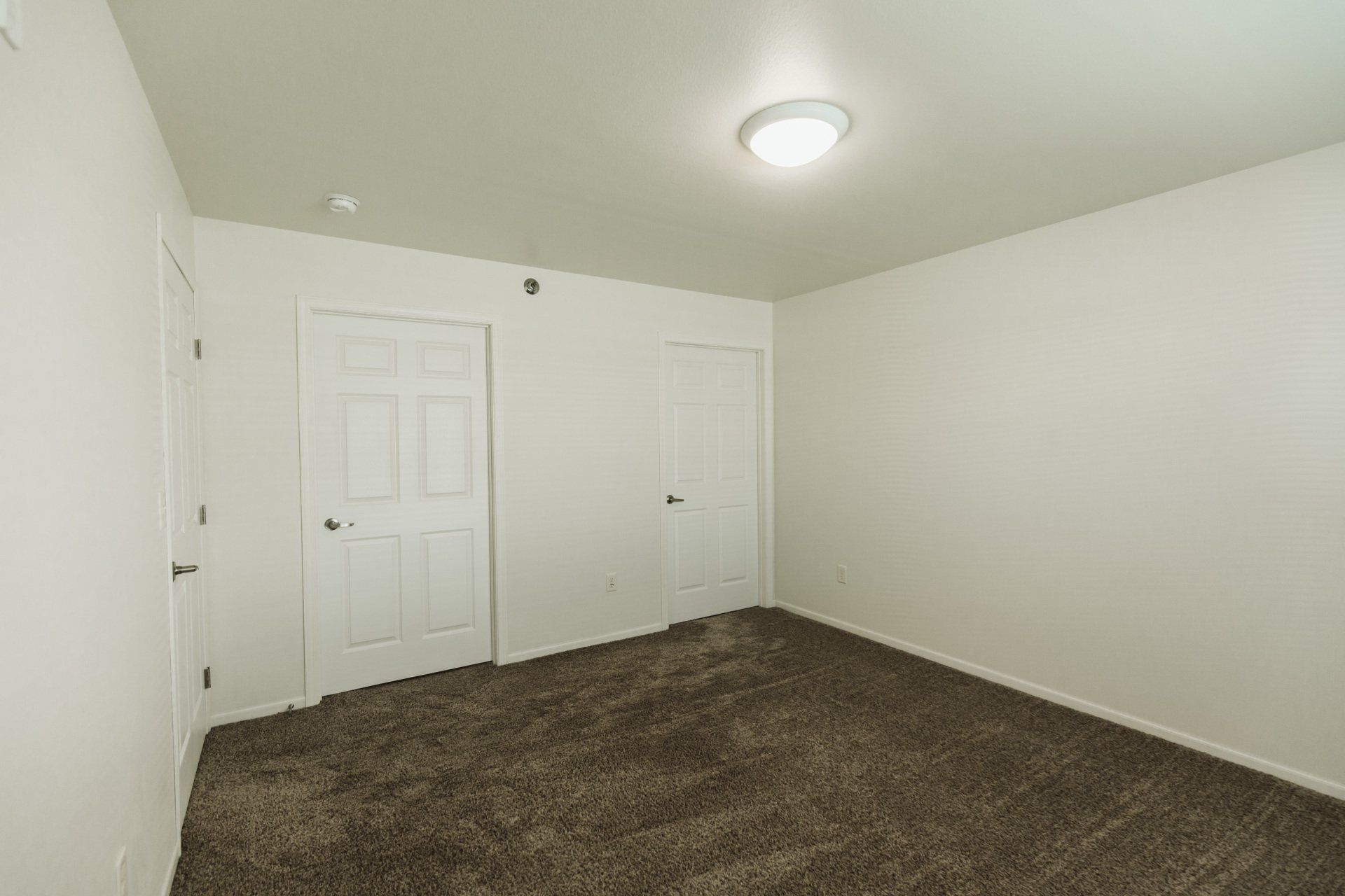 Bedroom with carpet leading to closet and bathroom