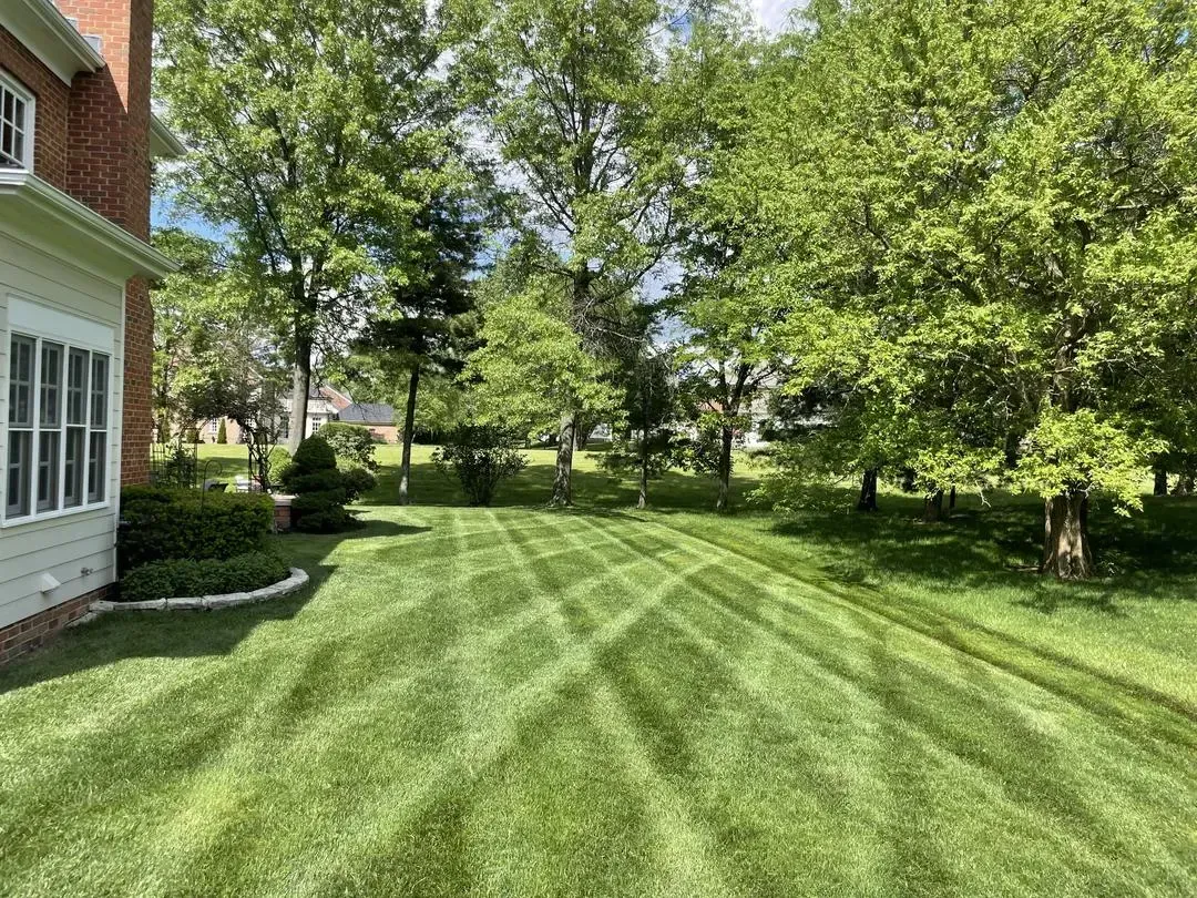 A lush green lawn in front of a house with trees in the background.