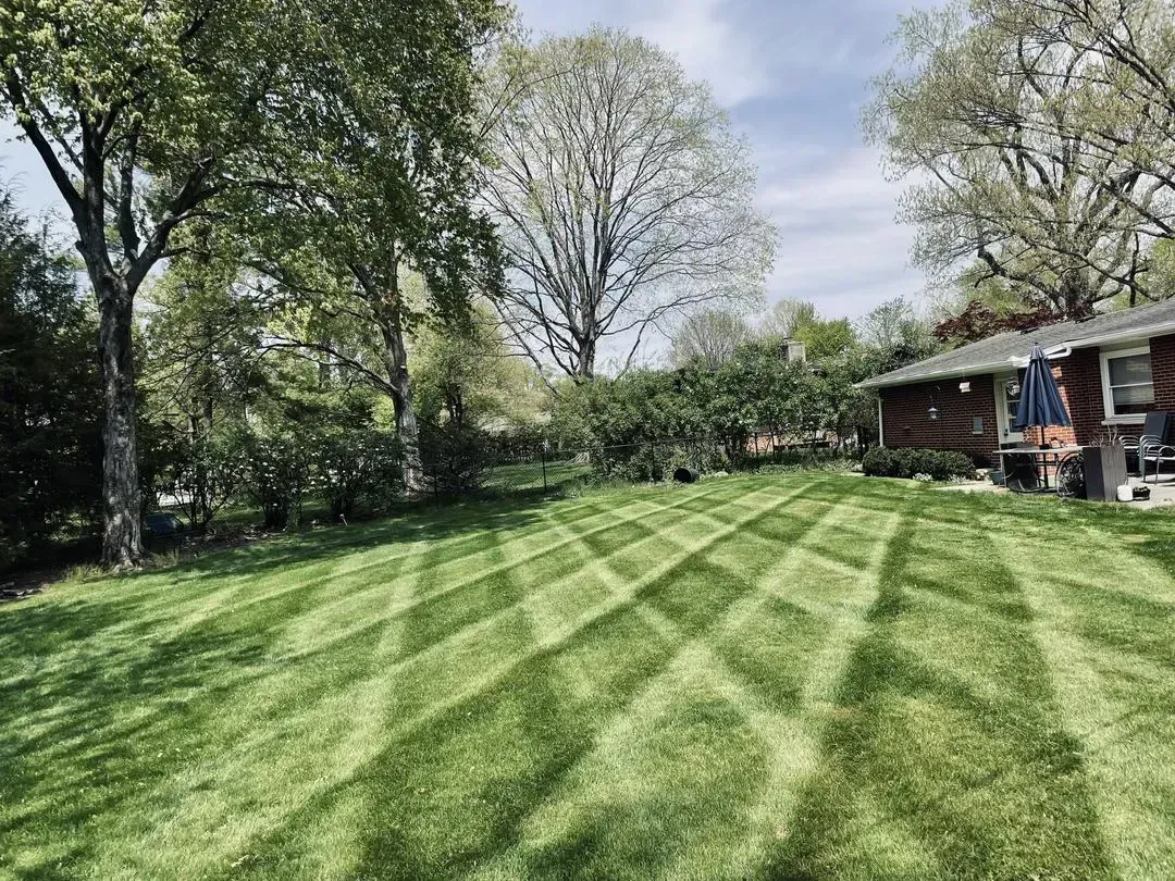 A lush green lawn with trees in the background and a house in the background.