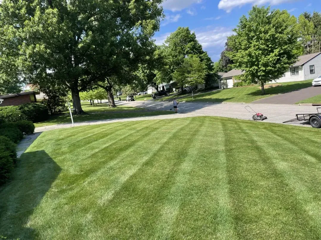 A lush green lawn with trees in the background and a driveway.