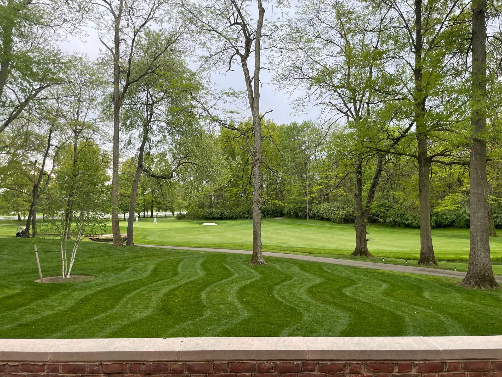 A lush green lawn with trees in the background and a brick wall in the foreground.