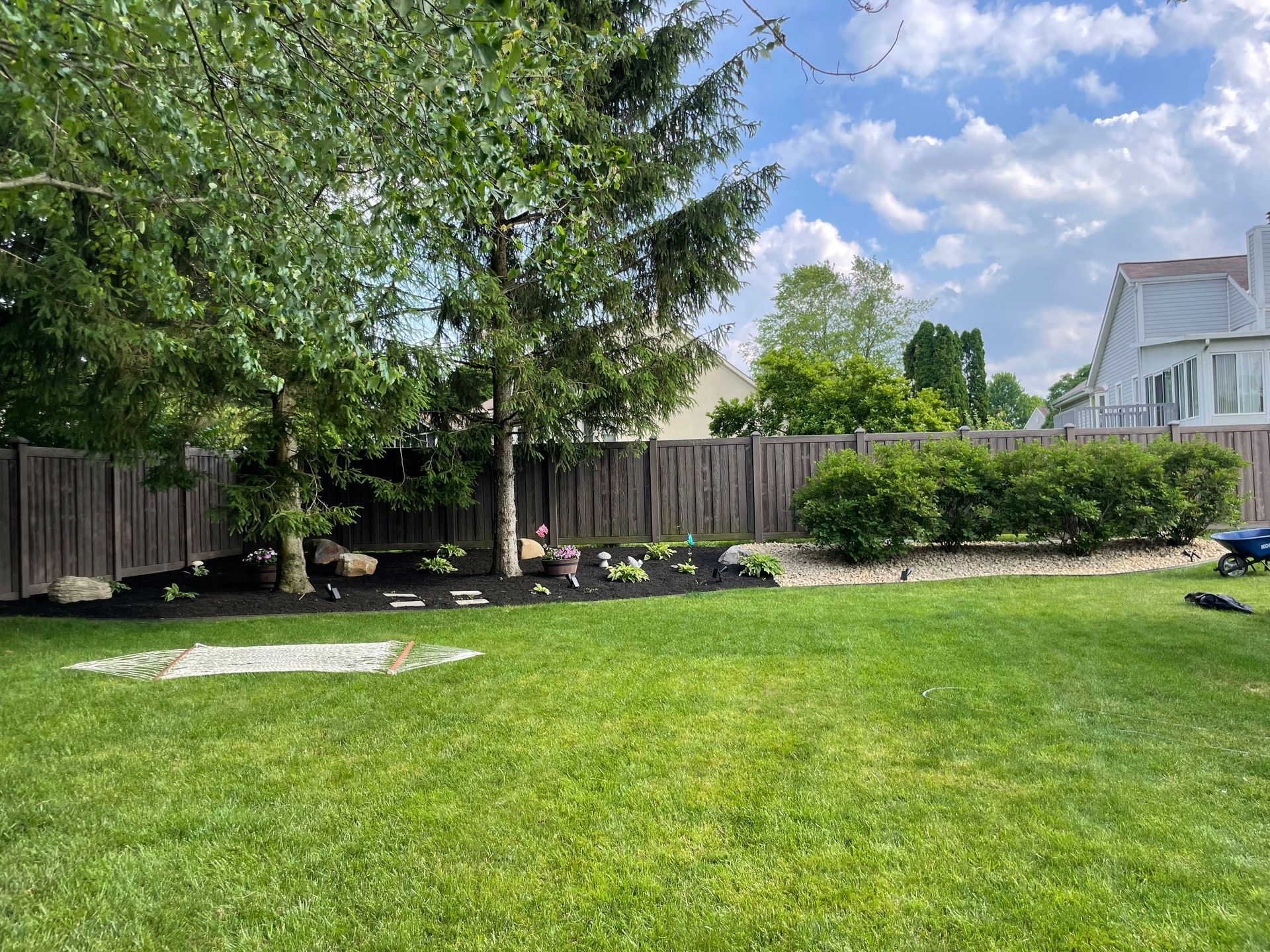 A lush green yard with a wooden fence and trees in the background.
