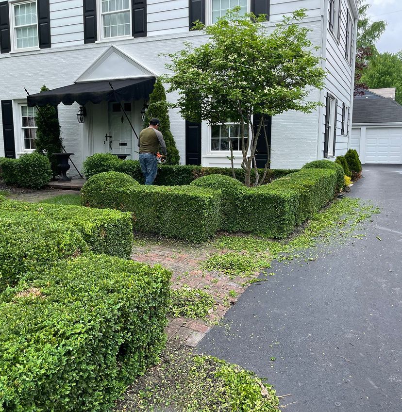 A man is standing in front of a white house cutting bushes