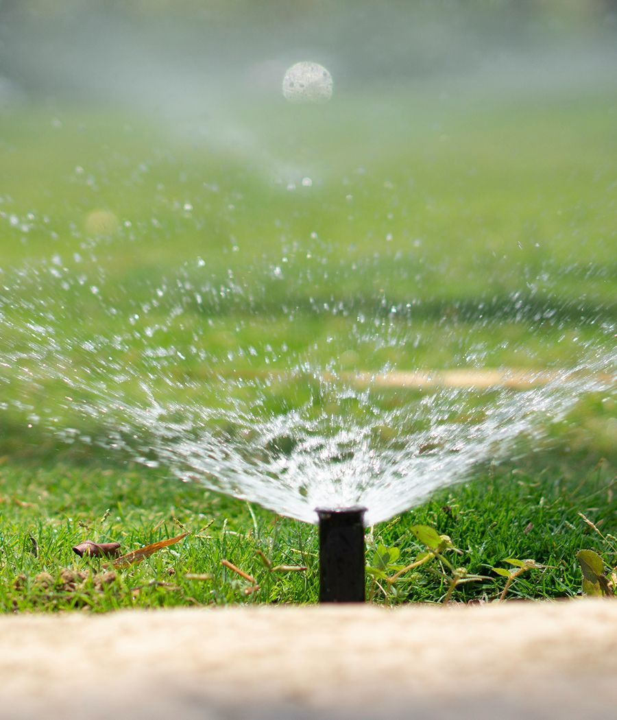 Sprinkler watering green lawn; water sprays outwards.