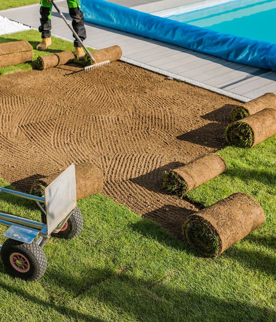 Person laying sod near a swimming pool. Rolls of sod sit beside raked soil. Green grass and blue pool.