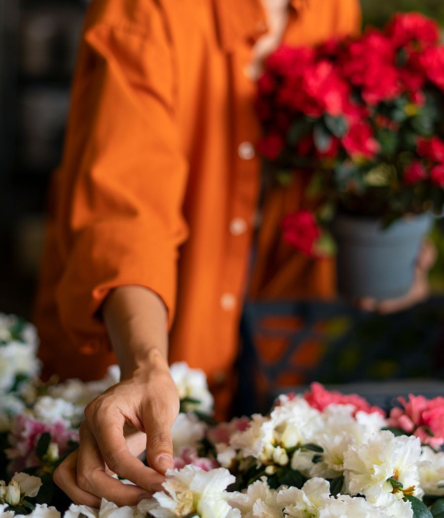 Person in orange shirt, selecting white flowers, holding pot of red flowers.
