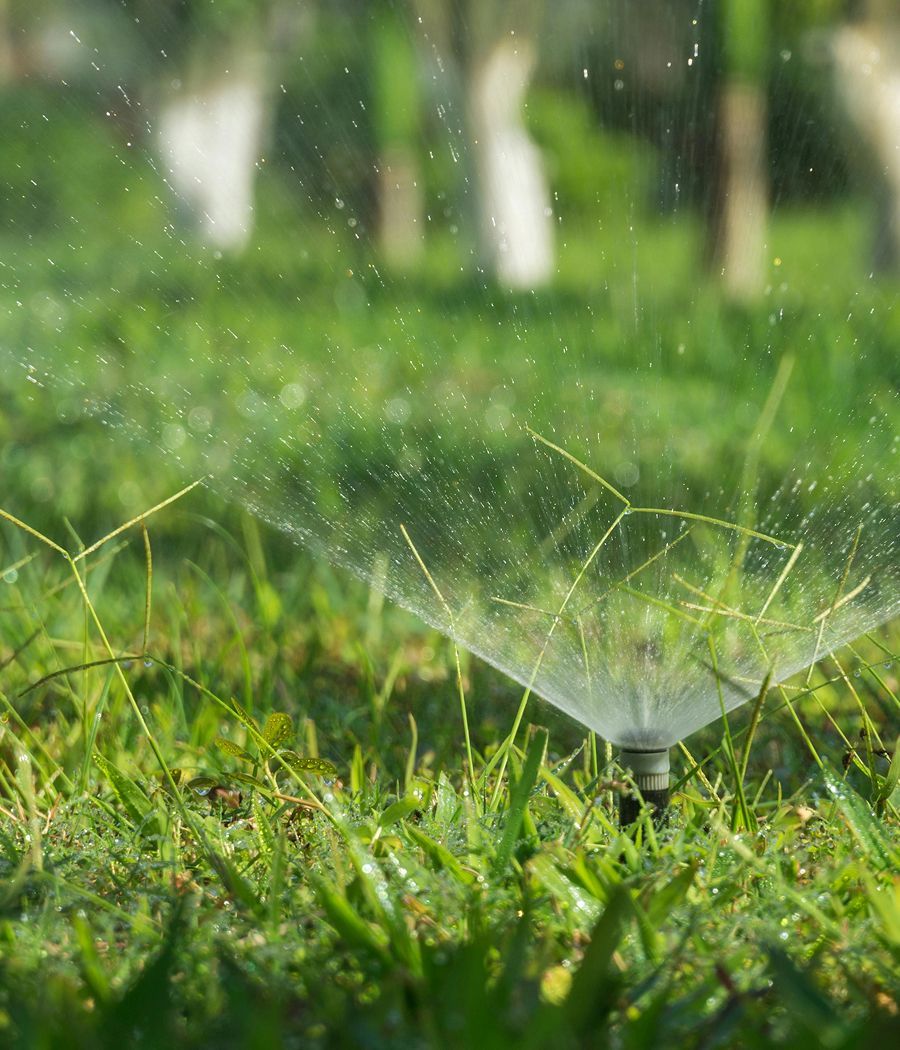 Sprinkler spraying water on green grass; blurred background of trees.