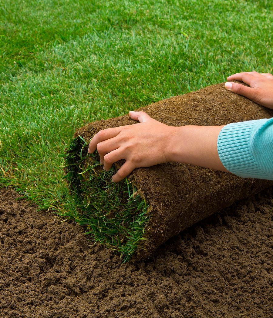 Person rolling out sod onto bare soil.