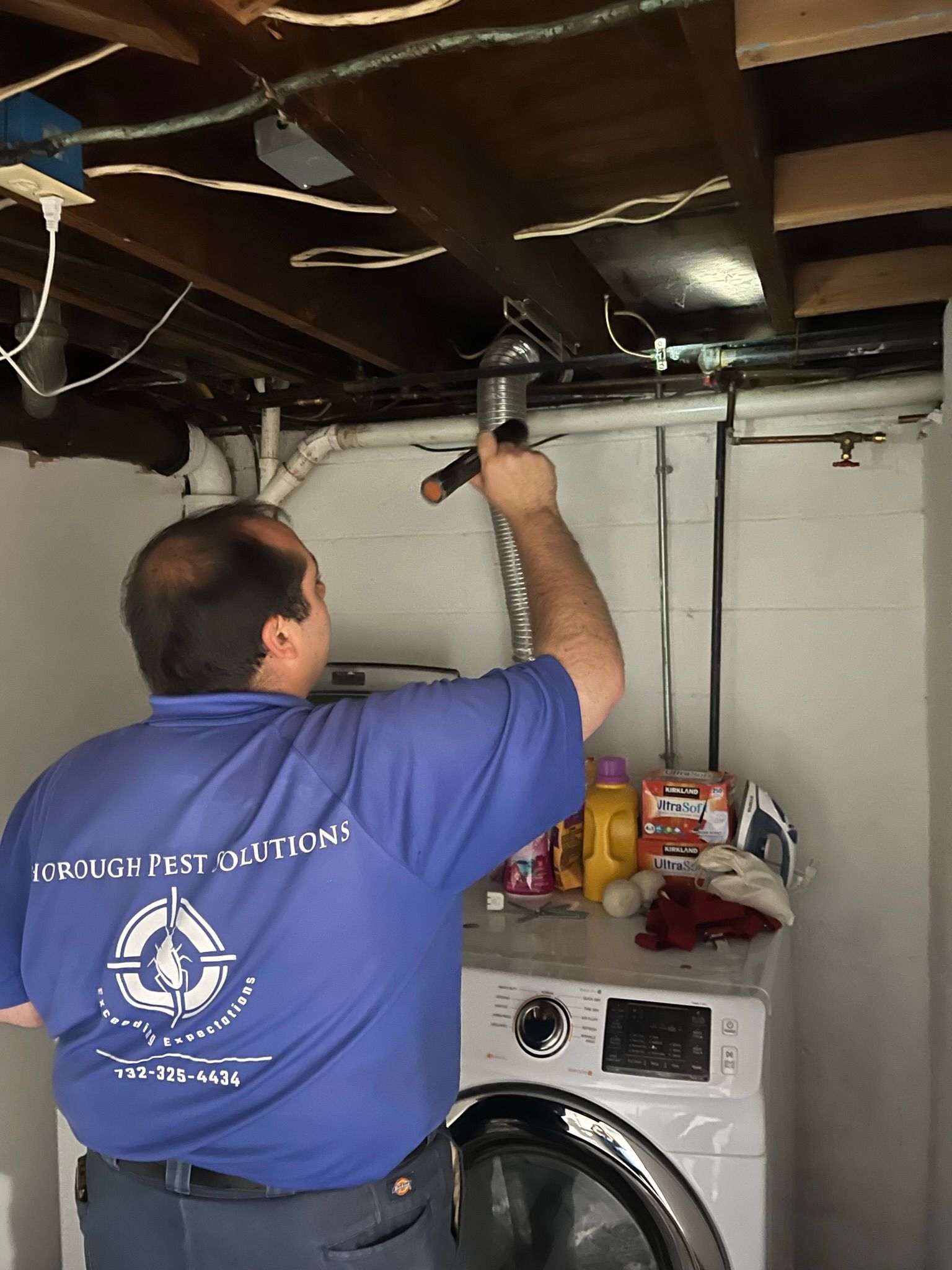 Pest Control Neptune City, NJ Thorough Pest Solutions