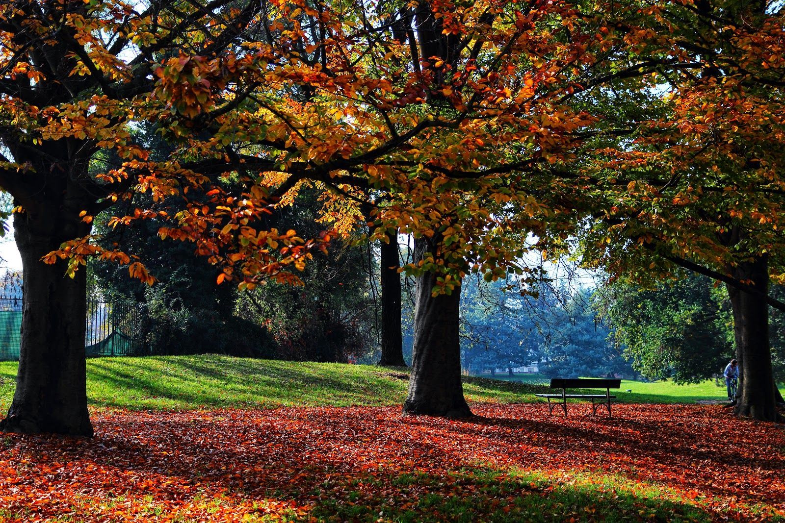 Esperienza di Gruppo