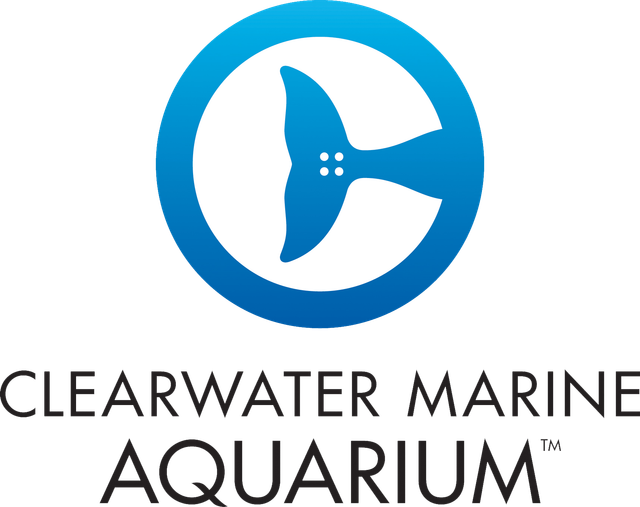 Dino Rescue - Clearwater Marine Aquarium