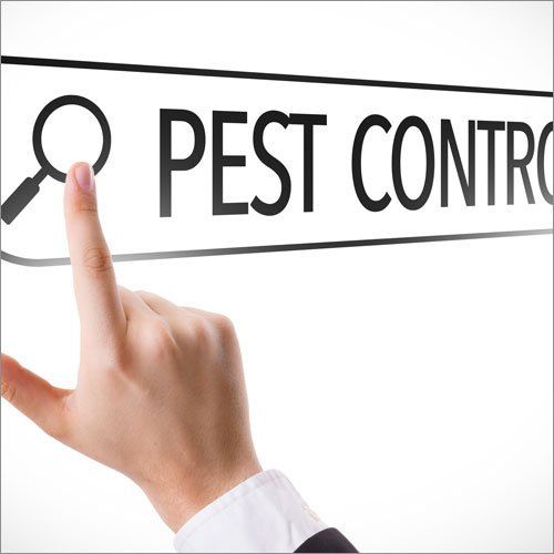 Searching Pest Control — Seaside, CA — Monterey Pest Control Inc.