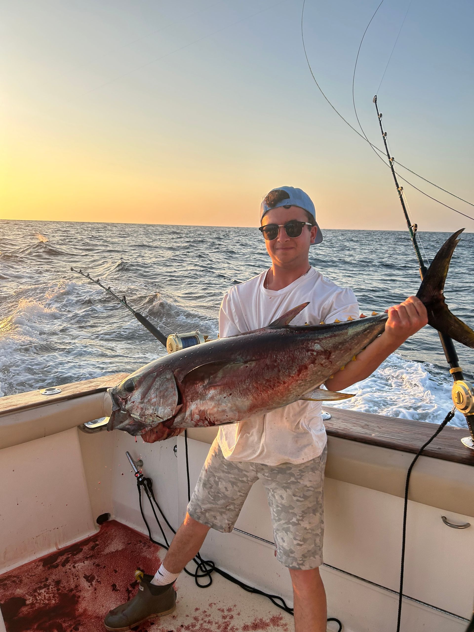 Person on a boat holding a large tuna fish, sunset background.