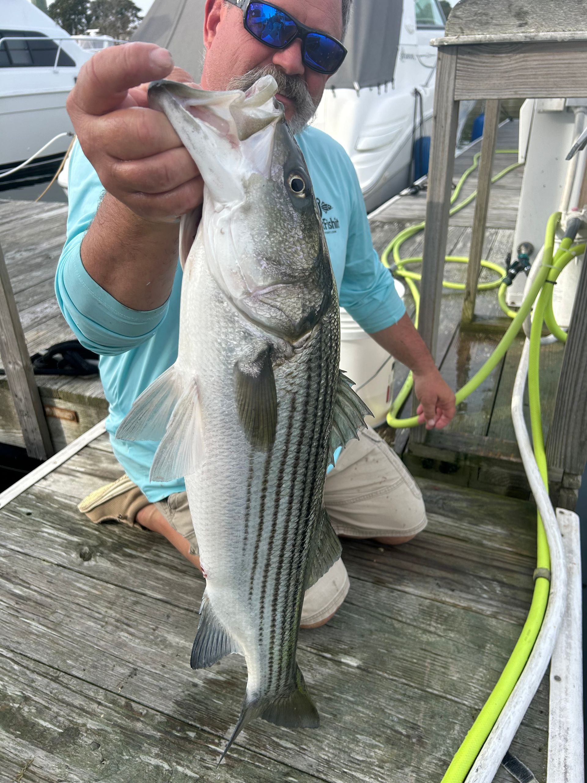 Man holding a striped bass fish, standing on a dock next to a boat.