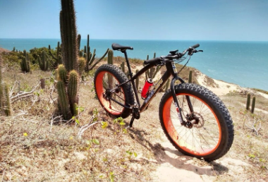 Bicicleta com pneus largos e aros laranja perto de cactos e do oceano.