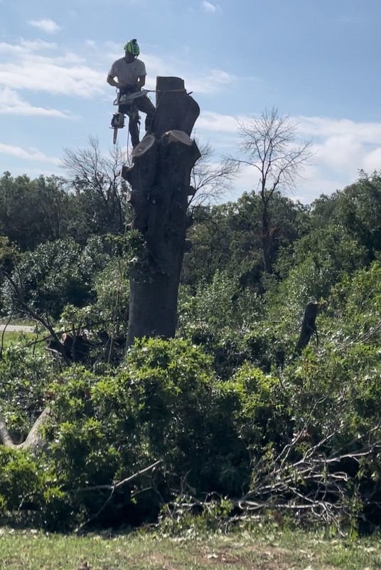 A man is standing on top of a tree stump.