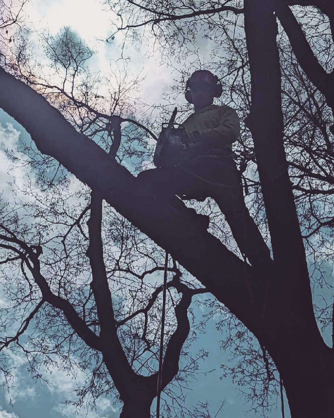 A man is sitting on a tree branch with a chainsaw