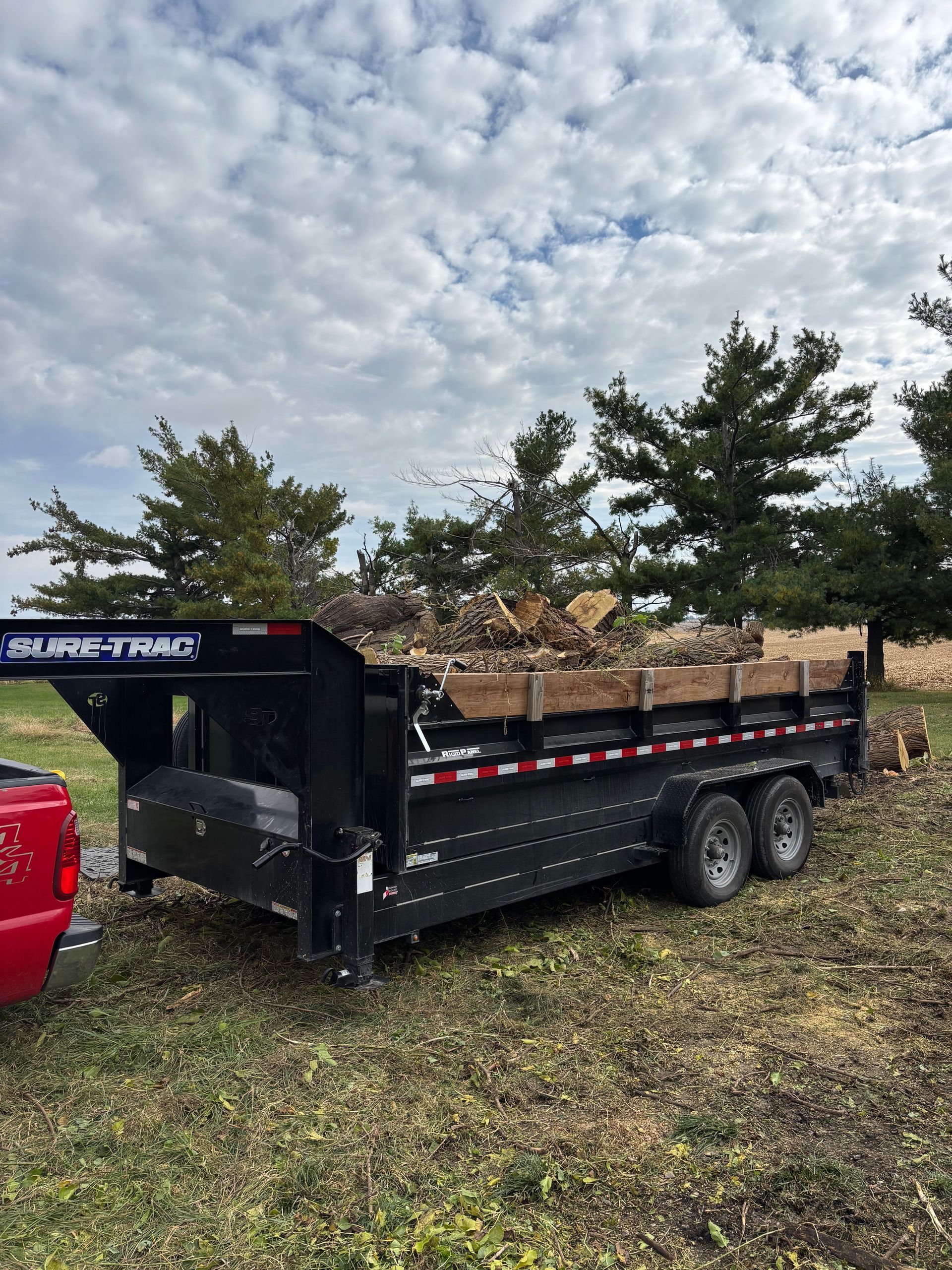 Black dump trailer loaded with debris, parked on grass field, under cloudy sky.