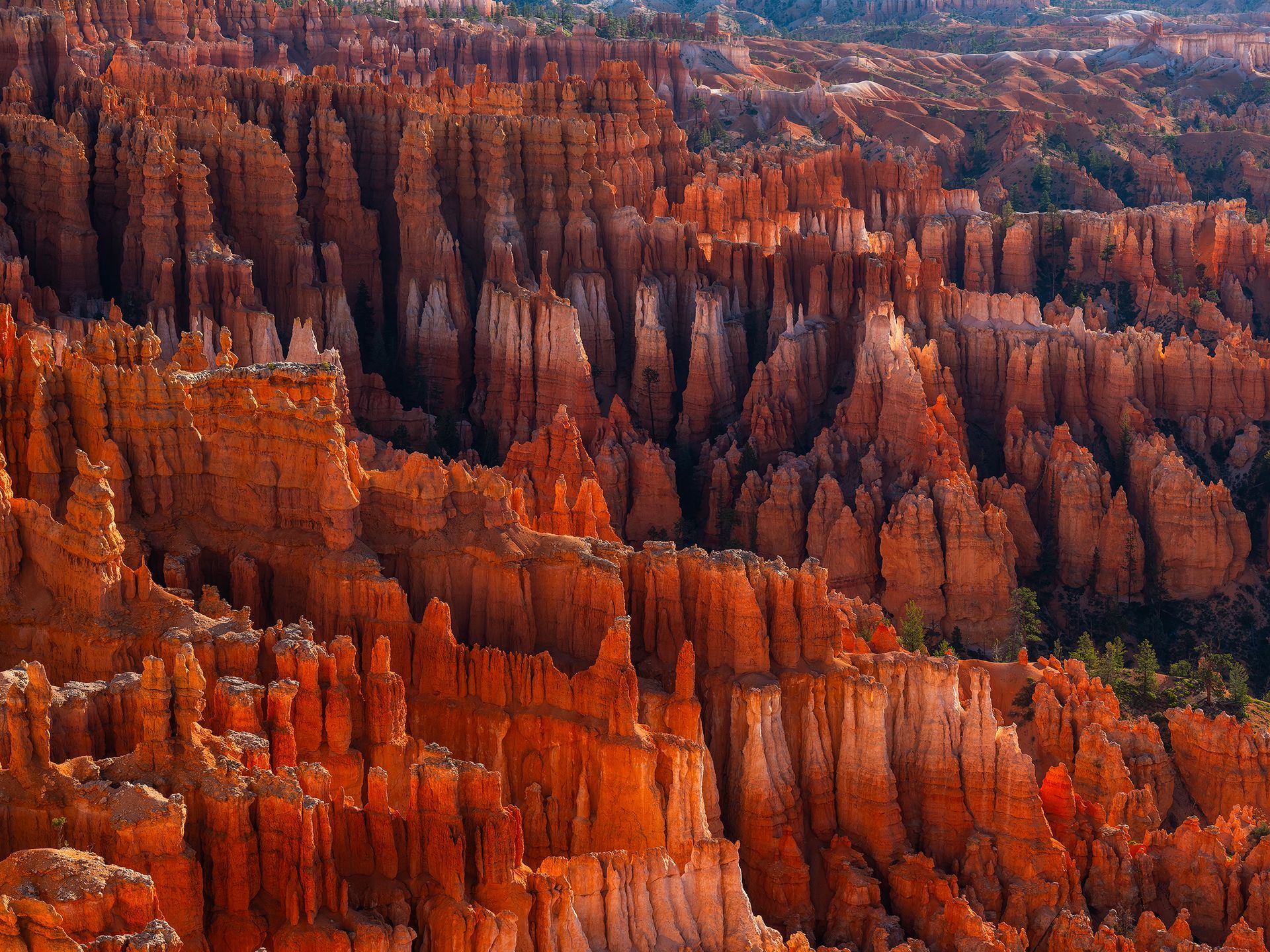 Red-orange hoodoos fill the frame, forming a rocky canyon in Bryce Canyon National Park, Utah.