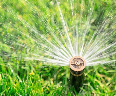 Irrigation Services — Lawn Sprinkler in Livonia, MI